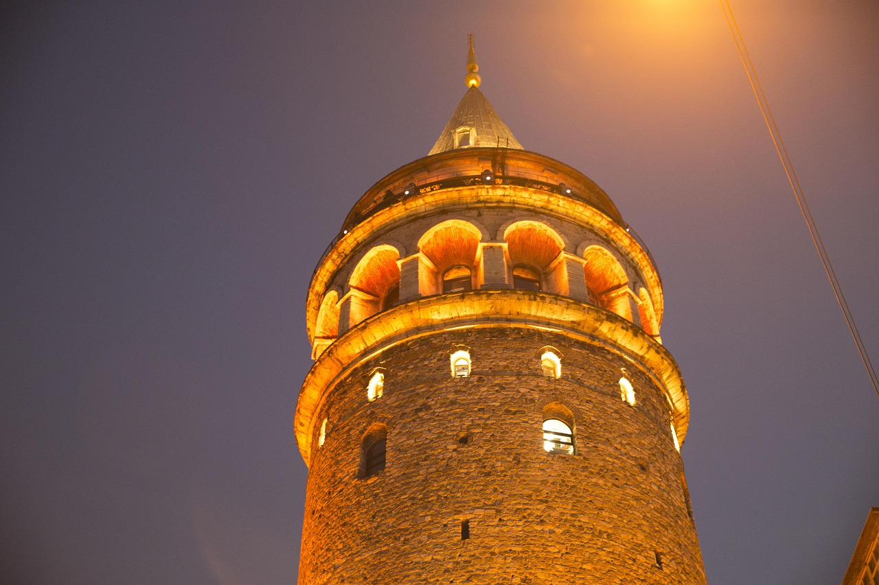 Hollanda Çalışma Vizesi Başvurusu İçin Hangi Formlar Doldurulmalıdır?